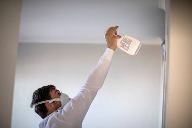 Best Industrial Mold Remediation in Nekoosa, WI